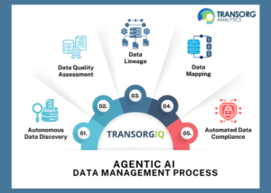 Agentic AI Data Management Process : TransOrg Analytics